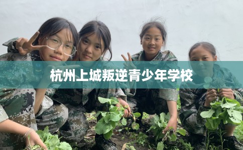 杭州上城叛逆青少年学校