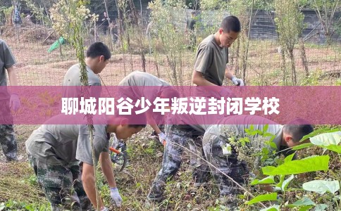 聊城阳谷少年叛逆封闭学校