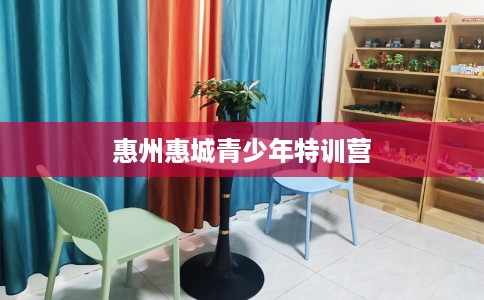 惠州惠城青少年特训营