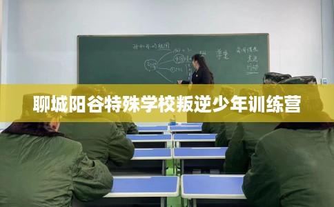 聊城阳谷特殊学校叛逆少年训练营