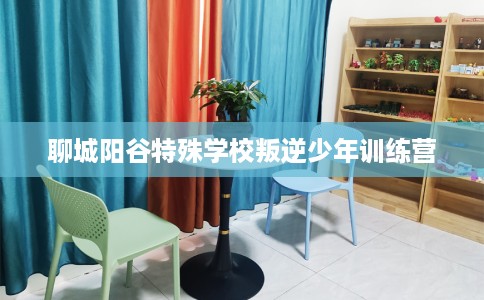 聊城阳谷特殊学校叛逆少年训练营