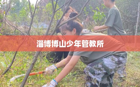 淄博博山少年管教所 淄博博山少年管教所