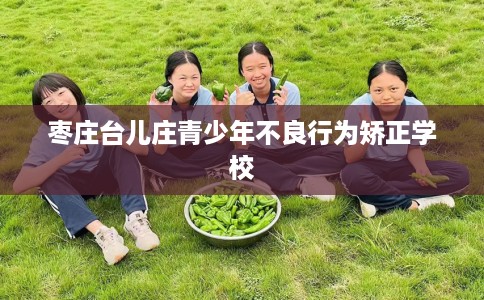 枣庄台儿庄青少年不良行为矫正学校