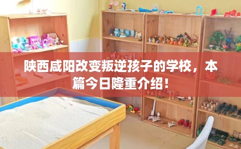 陕西咸阳改变叛逆孩子的学校，本篇今日隆重介绍！