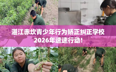湛江赤坎青少年行为矫正纠正学校2026年速速行动!