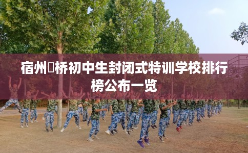 宿州埇桥初中生封闭式特训学校排行榜公布一览