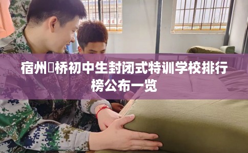 宿州埇桥初中生封闭式特训学校排行榜公布一览