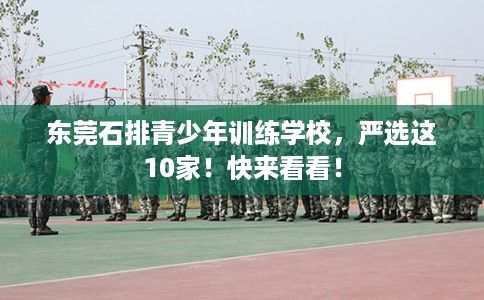 东莞石排青少年训练学校，严选这10家！快来看看！