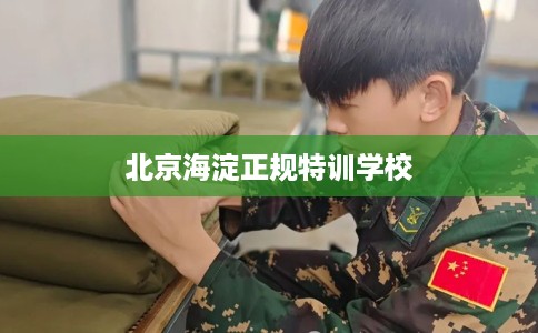 北京海淀正规特训学校