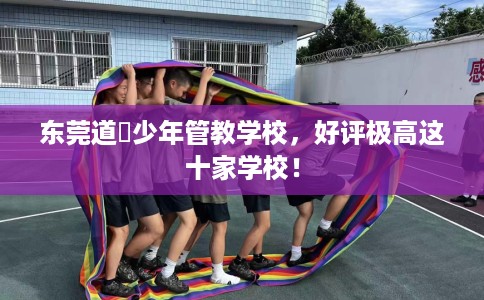 东莞道滘少年管教学校，好评极高这十家学校！
