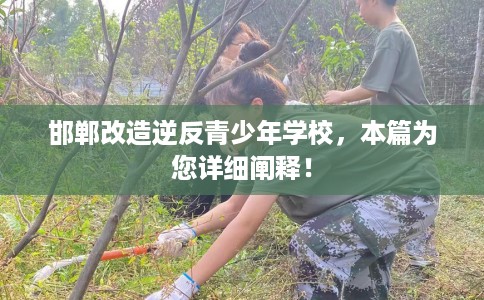 邯郸改造逆反青少年学校，本篇为您详细阐释！