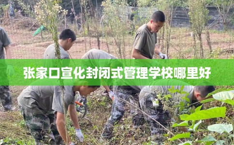 张家口宣化封闭式管理学校哪里好