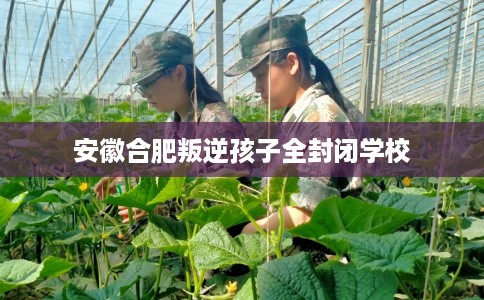 安徽合肥叛逆孩子全封闭学校