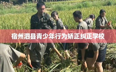宿州泗县青少年行为矫正纠正学校