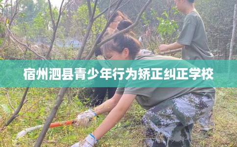 宿州泗县青少年行为矫正纠正学校