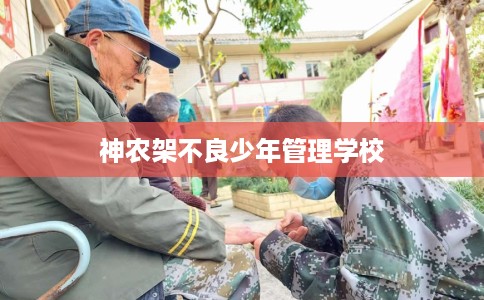 神农架不良少年管理学校