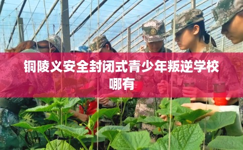 铜陵义安全封闭式青少年叛逆学校哪有