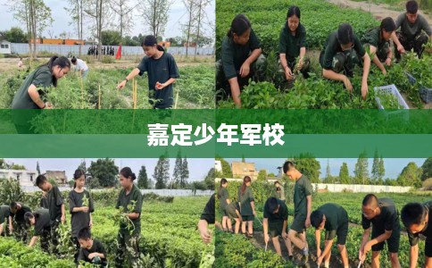 嘉定少年军校