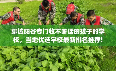 聊城阳谷专门收不听话的孩子的学校，当地优选学校最新排名推荐!