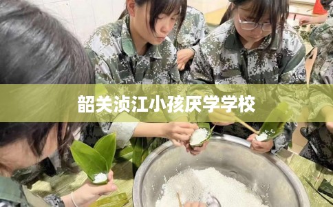 韶关浈江小孩厌学学校