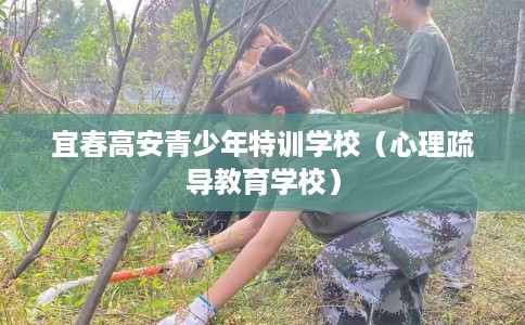 宜春高安青少年特训学校（心理疏导教育学校）