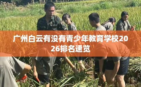 广州白云有没有青少年教育学校2026排名速览