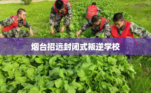 烟台招远封闭式叛逆学校