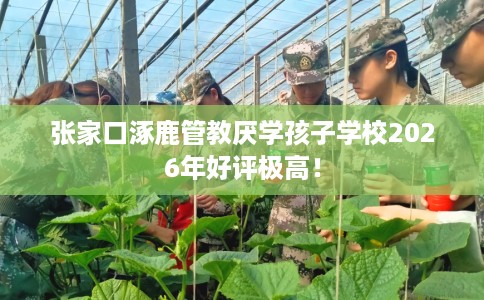 张家口涿鹿管教厌学孩子学校2026年好评极高！