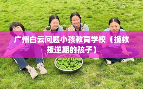 广州白云问题小孩教育学校（挽救叛逆期的孩子）