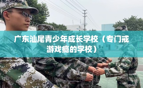 广东汕尾青少年成长学校（专门戒游戏瘾的学校）