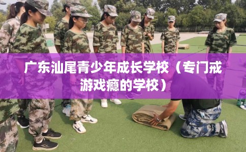 广东汕尾青少年成长学校（专门戒游戏瘾的学校）