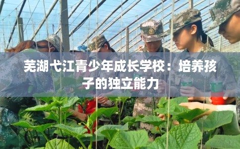 芜湖弋江青少年成长学校：培养孩子的独立能力