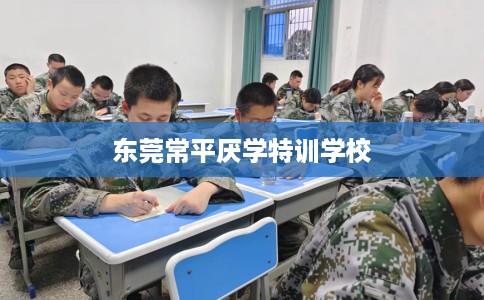 东莞常平厌学特训学校