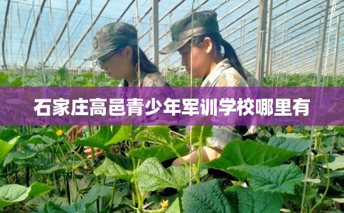 石家庄高邑青少年军训学校哪里有