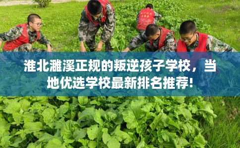淮北濉溪正规的叛逆孩子学校，当地优选学校最新排名推荐!