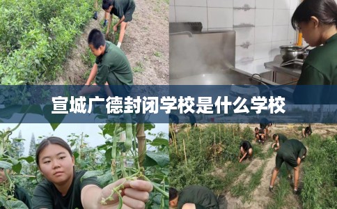 宣城广德封闭学校是什么学校