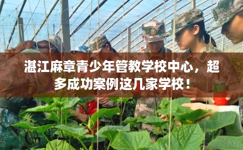 湛江麻章青少年管教学校中心，超多成功案例这几家学校！