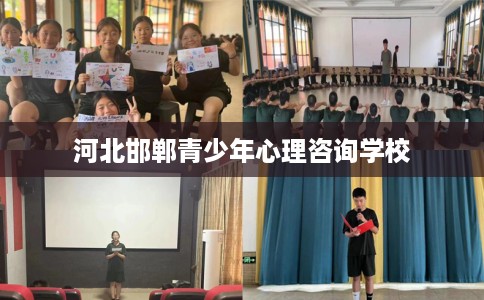 河北邯郸青少年心理咨询学校