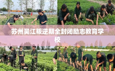 苏州吴江叛逆期全封闭励志教育学校