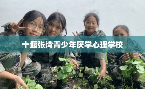 十堰张湾青少年厌学心理学校
