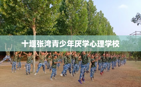 十堰张湾青少年厌学心理学校