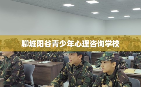 聊城阳谷青少年心理咨询学校