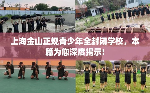 上海金山正规青少年全封闭学校，本篇为您深度揭示!