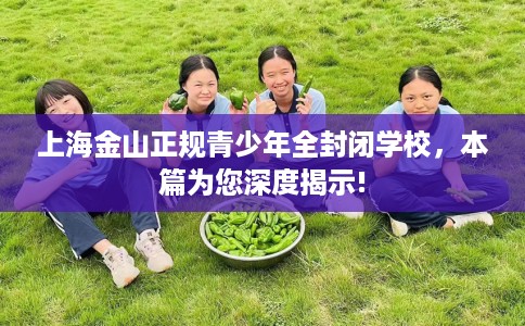 上海金山正规青少年全封闭学校，本篇为您深度揭示!