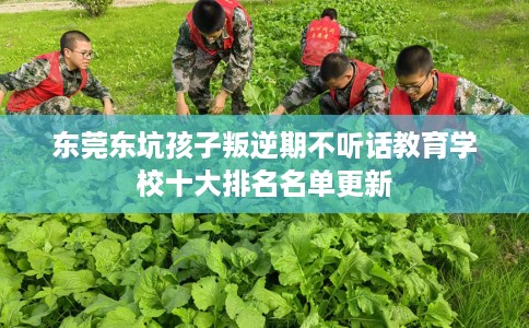 东莞东坑孩子叛逆期不听话教育学校十大排名名单更新