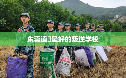 东莞道滘最好的叛逆学校