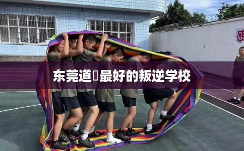 东莞道滘最好的叛逆学校