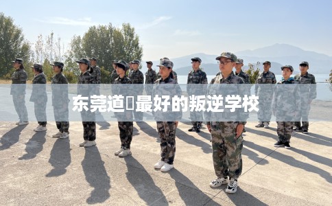 东莞道滘最好的叛逆学校