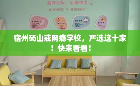 宿州砀山戒网瘾学校，严选这十家！快来看看！