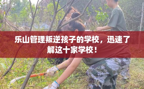 乐山管理叛逆孩子的学校，迅速了解这十家学校！